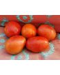 Tomato 'Pete's Italian Paste' 