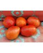 Tomato 'Pete's Italian Paste' 