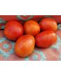 Tomato 'Pete's Italian Paste' 
