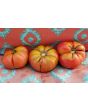 Tomato 'Ferris Wheel' 