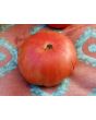Tomato 'Ferris Wheel' 