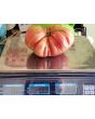Tomato 'Pink Jazz'