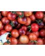 Tomato 'Blue Berries' 