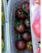 Tomato 'Purple Bumble Bee'