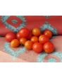 Tomato 'Flavor Bomb' Seeds