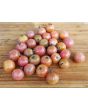 Tomato 'Napa Rose Blush'
