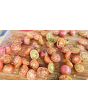 Tomato 'Napa Rose Blush'