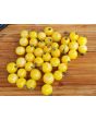 Tomato 'White Currant'