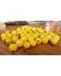 Tomato 'White Currant'