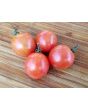 Tomato 'Red Sprinkles' 