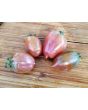 Tomato 'Chocolate Molar Cherry' 