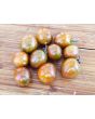 Tomato 'Chocolate Sprinkles F2' Seeds