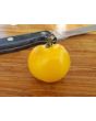 Tomato 'Large Yellow Cherry' 