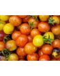 Tomato 'Gold Berries'