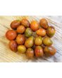 Tomato 'De Barao Chornyy' AKA 'Chocolate Berry' 