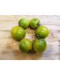 Tomato 'Small Green Cherry' 