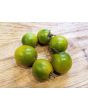 Tomato 'Small Green Cherry' 