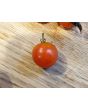Tomato 'Supersweet 100 F2' Seeds (Certified Organic)