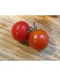Tomato 'Supersweet 100 F2' Seeds (Certified Organic)