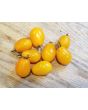 Tomato 'RB Yellow Grape' 