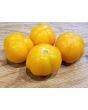Tomato 'Orange Accordion Mini Pumpkins' 