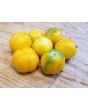 Tomato 'Orange Accordion Mini Pumpkins' 
