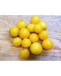 Tomato 'Large Yellow Cherry' 
