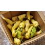 Hot Pepper ‘White Devil's Tongue’ Seeds (Certified Organic)