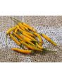 Hot Pepper ‘Yellow Thai’ Seeds (Certified Organic)