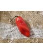 Hot Pepper ‘CGN 21500 x Isabela Island Galapagos Habanero' Seeds (Certified Organic)