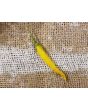Hot Pepper ‘Cedrino' Seeds (Certified Organic)