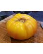 Tomato 'Pineapple'