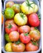 Tomato 'Dragon's Eye' 
