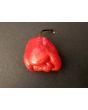 Hot Pepper ‘Bahamian Beast' Seeds (Certified Organic)