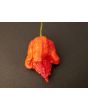 Hot Pepper ‘Zing’ Seeds (Certified Organic)