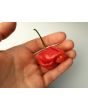 Hot Pepper 'Jigsaw Cross' Seeds (Certified Organic)