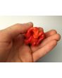 Hot Pepper 'Jigsaw Cross' Seeds (Certified Organic)