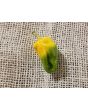 Hot Pepper ‘Lemon Reaper Cross’ (Aji Lemon x Carolina Reaper) Seeds (Certified Organic)