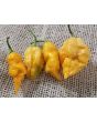 Hot Pepper 'Jay's Peach Ghost Scorpion' Seeds (Certified Organic)