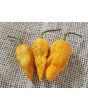 Hot Pepper 'Jay's Peach Ghost Scorpion' Seeds (Certified Organic)
