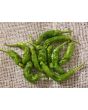 Hot Pepper ‘Red Peter’ 