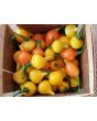 Hot Pepper ‘Biquinho Yellow’ Seeds (Certified Organic)