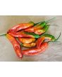 Hot Pepper 'Ghostly Jalapeno' Seeds (Certified Organic)