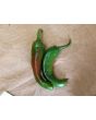 Hot Pepper 'Guajillo' Seeds (Certified Organic)
