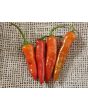 Hot Pepper 'Aci Sivri Biber Cross' Seeds (Certified Organic)