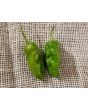 Hot Pepper ‘Chocolate Bhutlah' Seeds (Certified Organic)