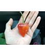 Hot Pepper ‘Purple UFO’ Seeds (Certified Organic)