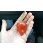 Hot Pepper ‘Purple UFO’ Seeds (Certified Organic)