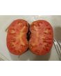 Tomato 'Sgt. Pepper's'