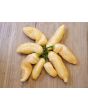Hot Pepper ‘Sugar Rush Peach’ 